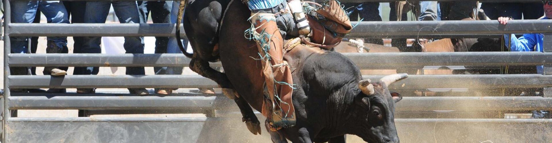 image with artdirection