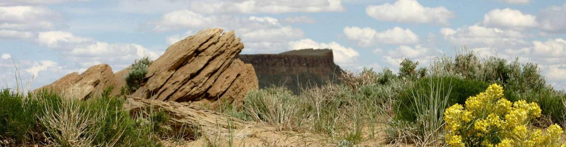 image with artdirection