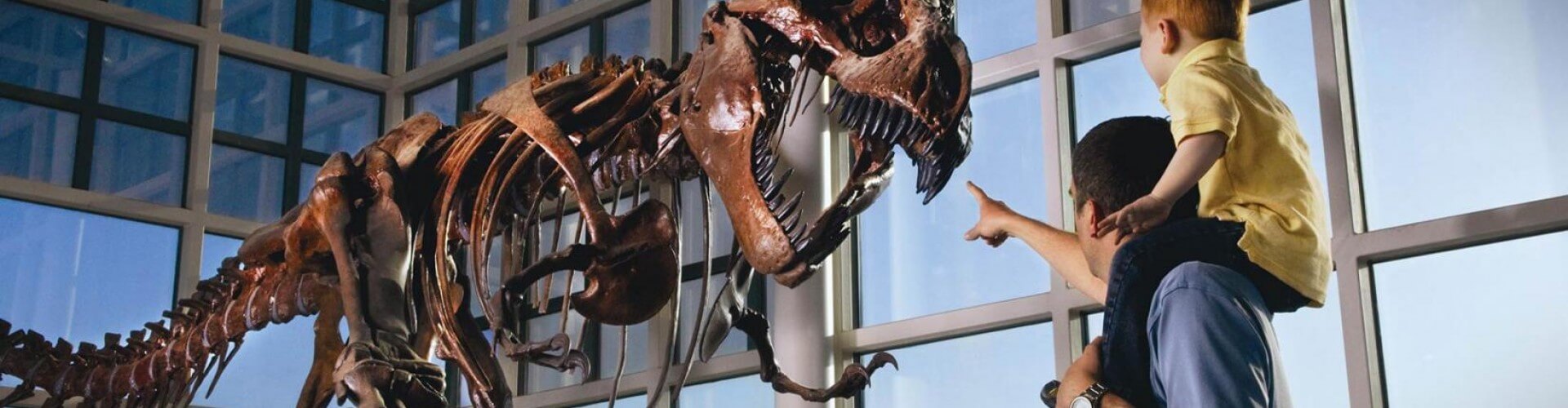 image with artdirection