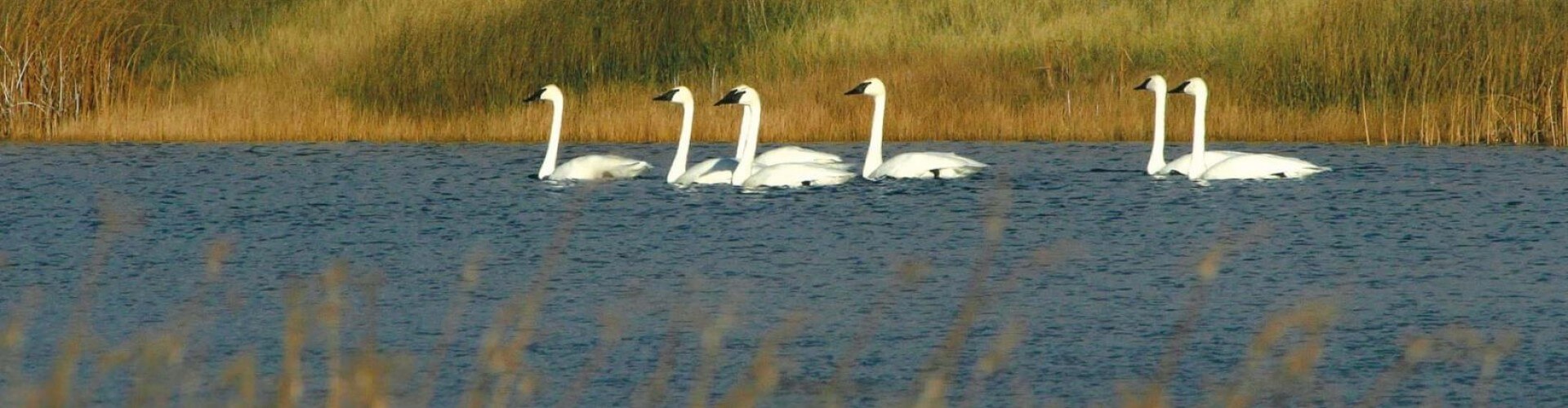 image with artdirection