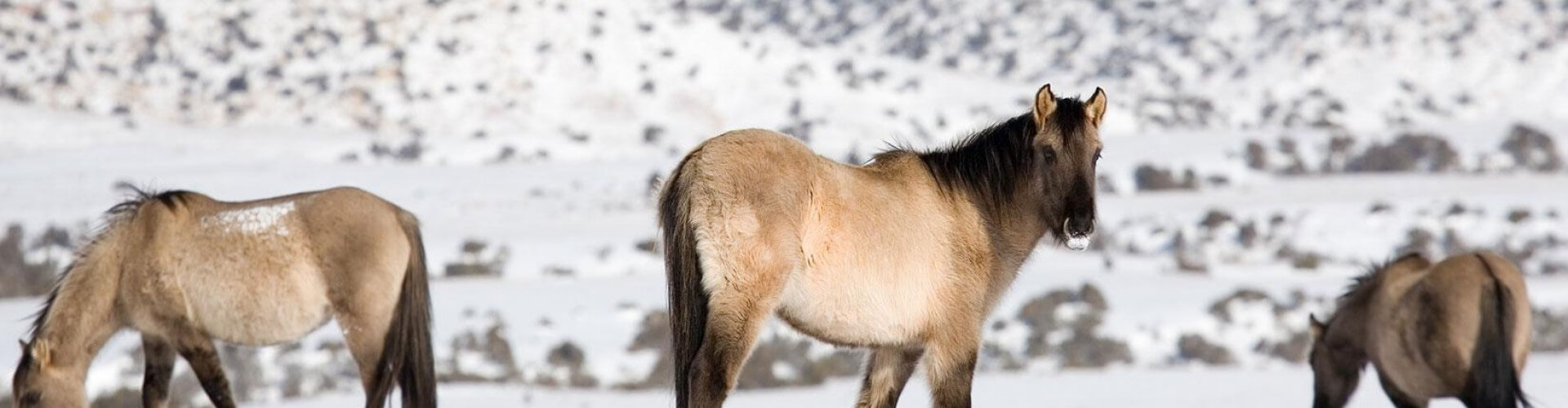 image with artdirection