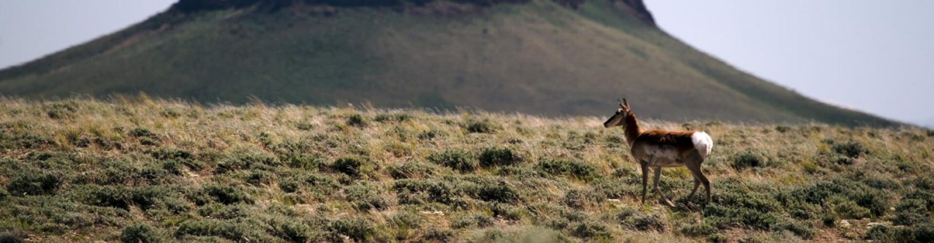 image with artdirection