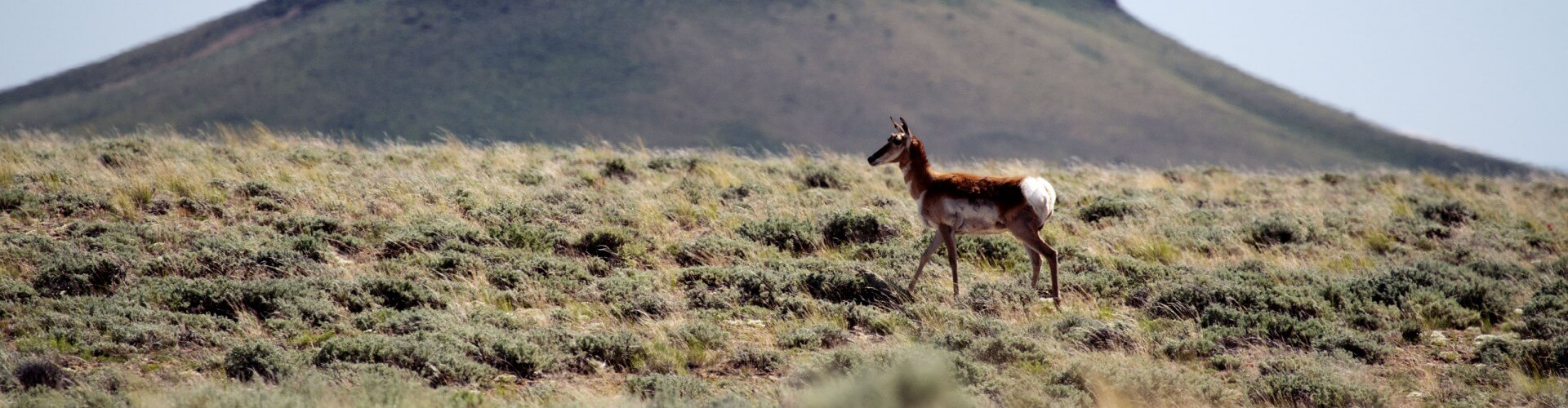 image with artdirection