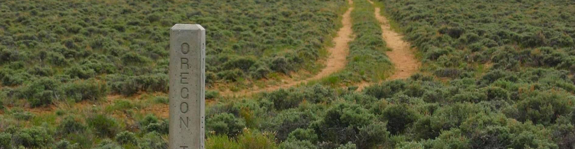 image with artdirection