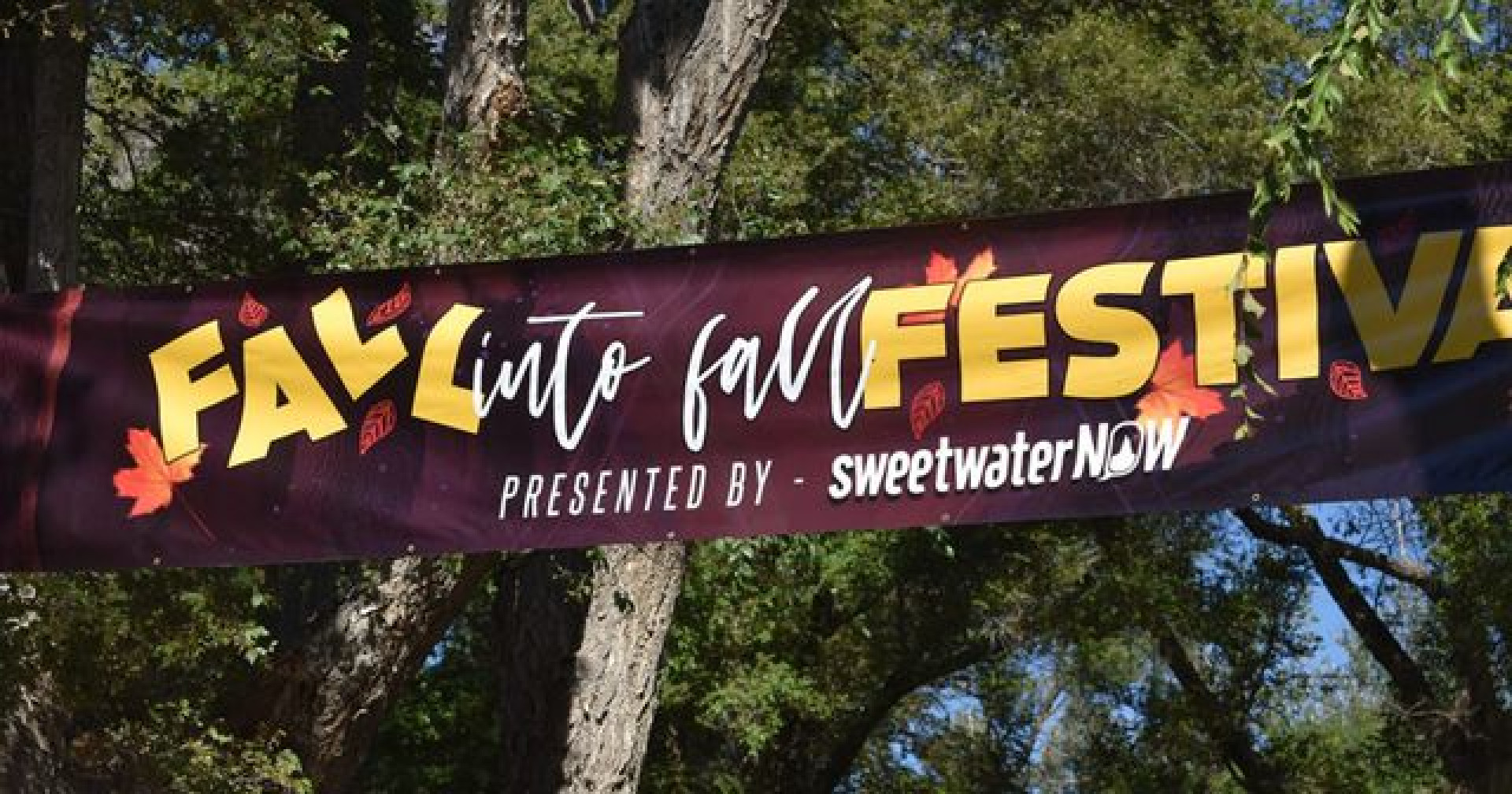 Fall Into Fall Festival