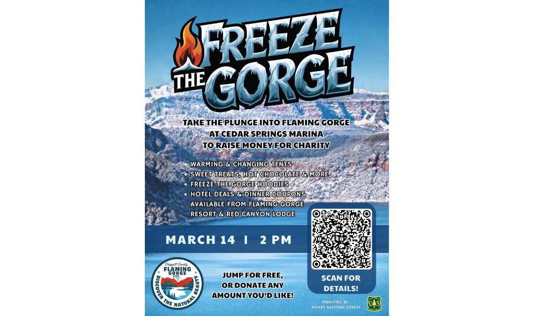 Freeze the Gorge