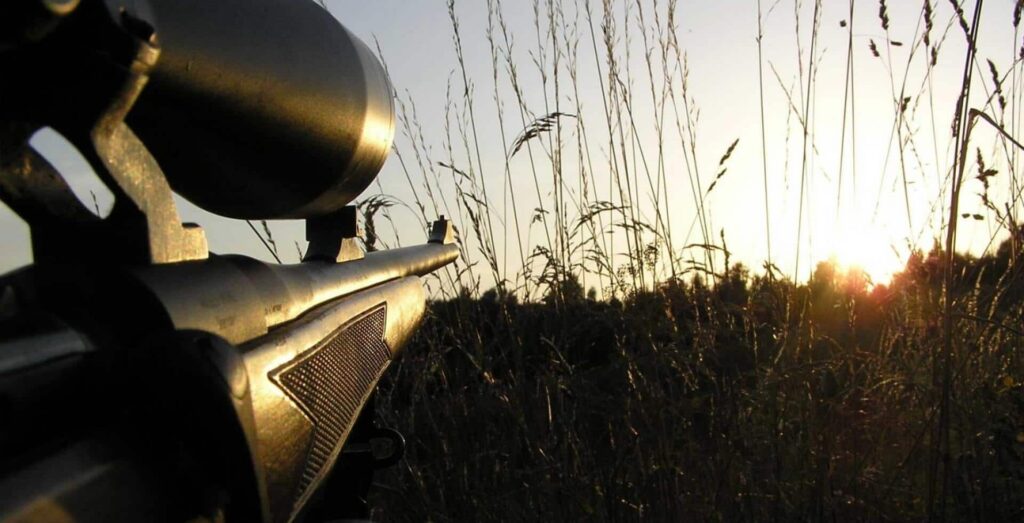 Close-up of a rifle with scope pointed toward a field at sunset, with tall grass and trees silhouetted against the sky.