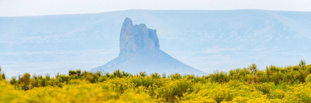 A tall rock formation rises from a flat landscape, with yellow wildflowers in the foreground and hazy hills in the background.