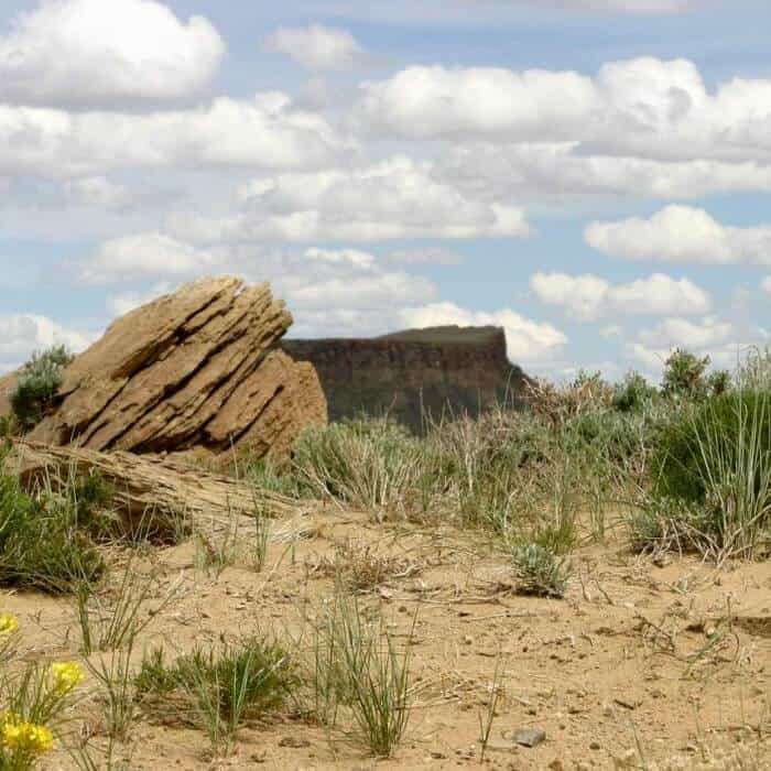 Flat-topped mesa in the distance, with rocky foreground, dry grass, and a few yellow wildflowers under a partly cloudy sky.