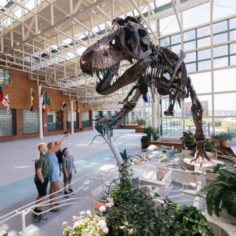 Three people observe and point at a large dinosaur skeleton displayed inside a spacious, sunlit museum atrium with international flags.