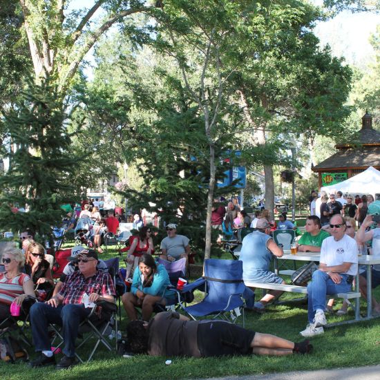 People sit and relax on lawn chairs and benches in a shaded park during a community outdoor event on a sunny day.
