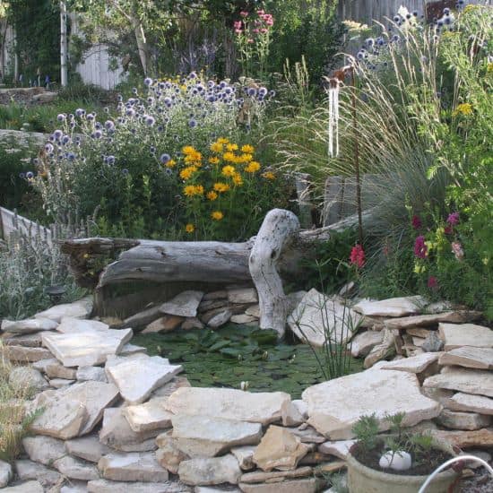 Small garden pond bordered by white stones, surrounded by wildflowers, grasses, and a weathered wooden log in a lush outdoor garden setting.