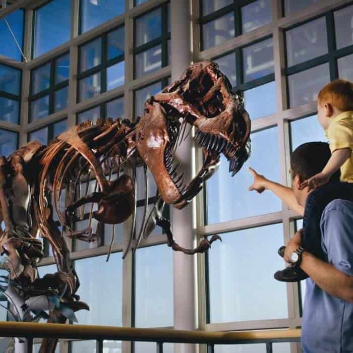 A man holding a child points at a large dinosaur skeleton displayed in a glass-walled museum exhibit.
