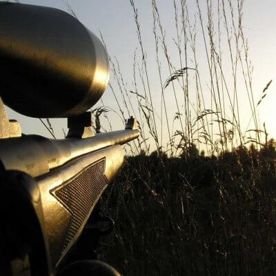 Close-up of a rifle with a scope, pointed through tall grass at sunset, with the sky and tree silhouettes in the background.