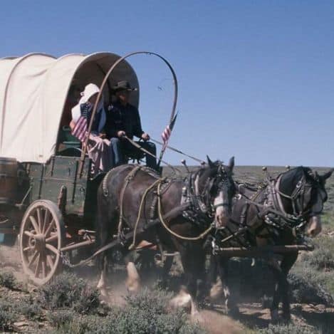 A covered wagon pulled by two horses travels across a grassy plain, with two people riding inside and American flags attached to the wagon.