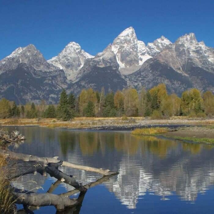Snow-capped mountain peaks reflect in a calm river, with forests and fallen logs in the foreground under a clear blue sky.