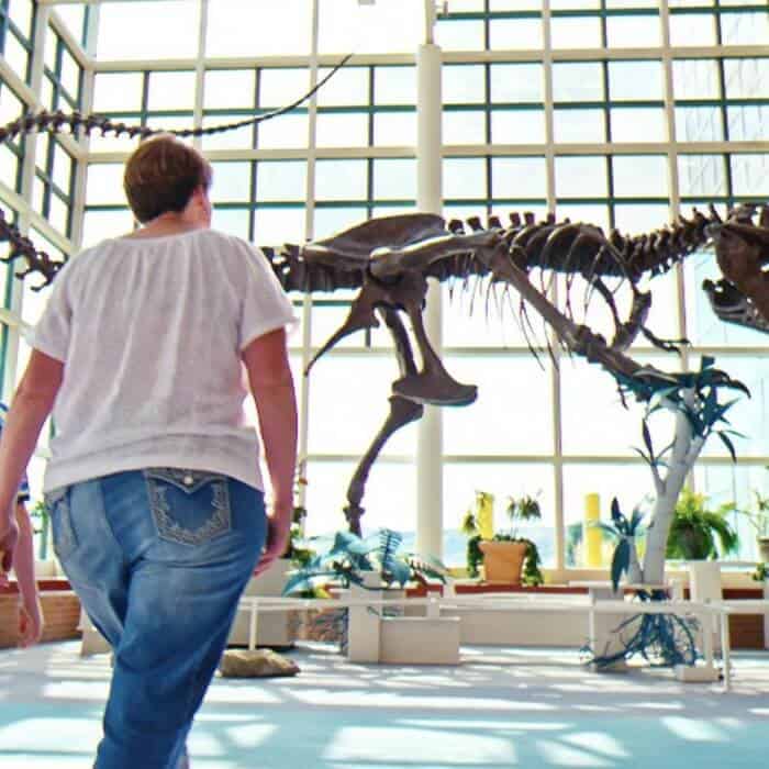 A person walks past a large dinosaur skeleton displayed in a bright, modern museum with tall windows.