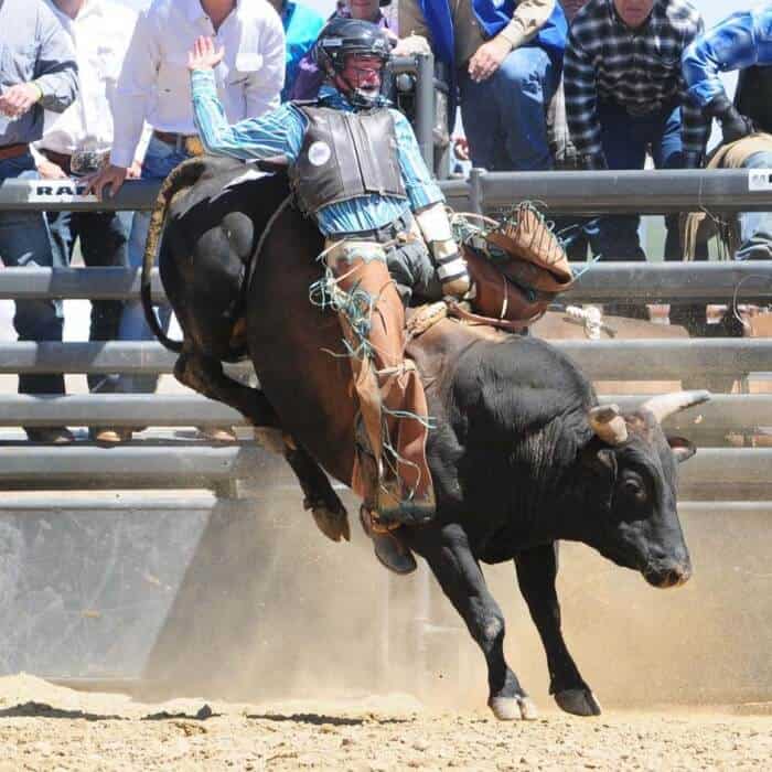 A rodeo rider in protective gear rides a bucking bull in an arena, with spectators in the background behind a metal fence.
