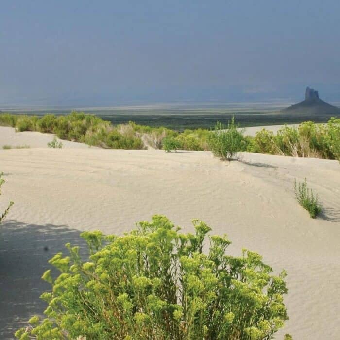 Sandy dunes with green shrubs in the foreground, a flat plain in the middle, and a distant rock formation under a cloudy sky.