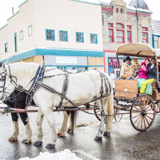 A horse-drawn carriage with four people and a dog rides down a snowy street in a small town with historic buildings.